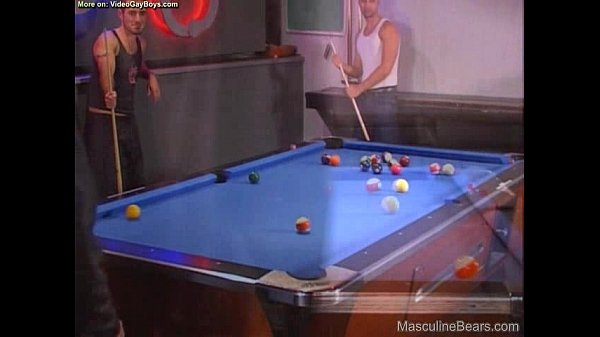 Pool Hall Otters Sucking